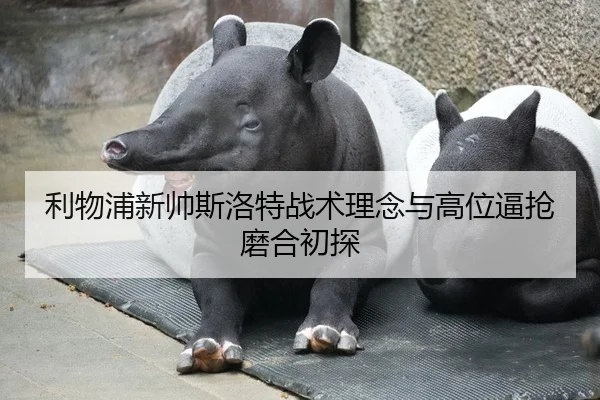 利物浦新帅斯洛特战术理念与高位逼抢磨合初探