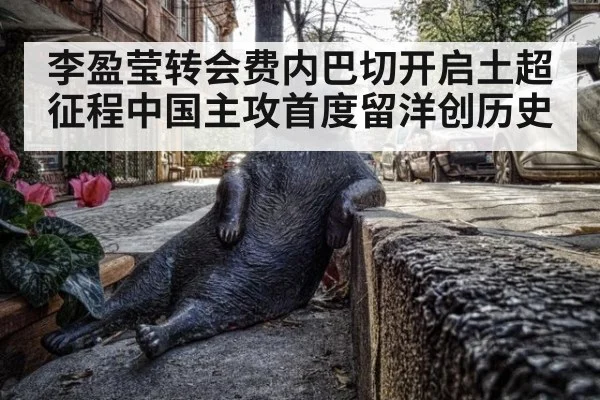 李盈莹转会费内巴切开启土超征程中国主攻首度留洋创历史